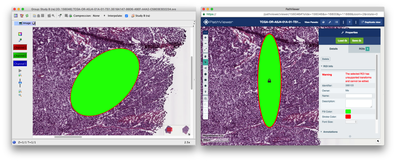 _images/ellipse_rotated_insight_vs_pathviewer_1.1.x.png